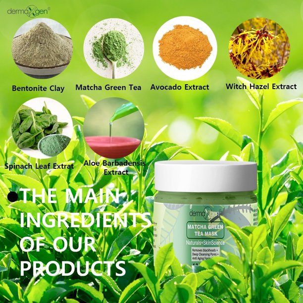 Green Tea Mud Mask - Matcha Powder, Aloe Vera, Kaolin and Bentonite Clay for Hydrating / Detoxifying / Deep Cleansing / Minimize Pores / Healing, Relaxing and Anti-wrinkle Organic Facial Mask
